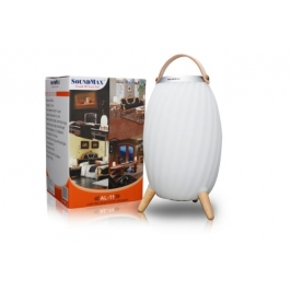 LOA SOUNDMAX AL-11